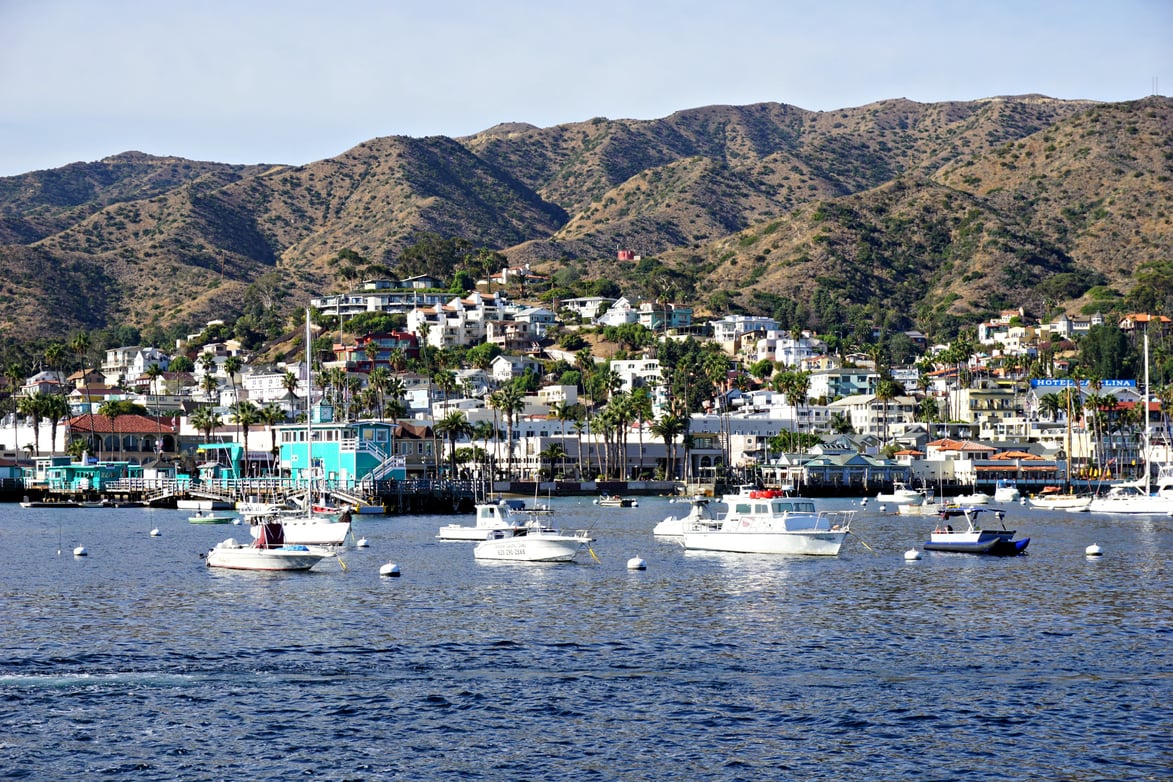 Eat Your Way Around Catalina Island